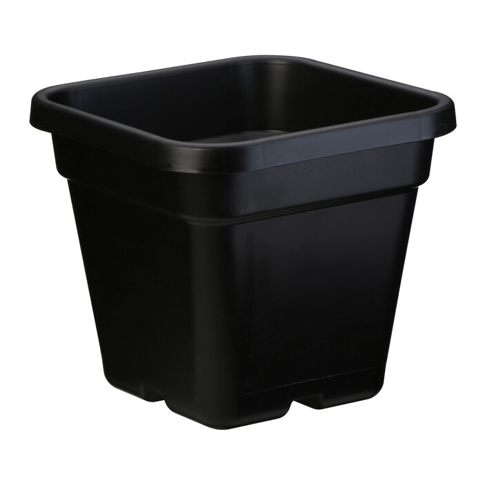 10L (26cm) Square Pot